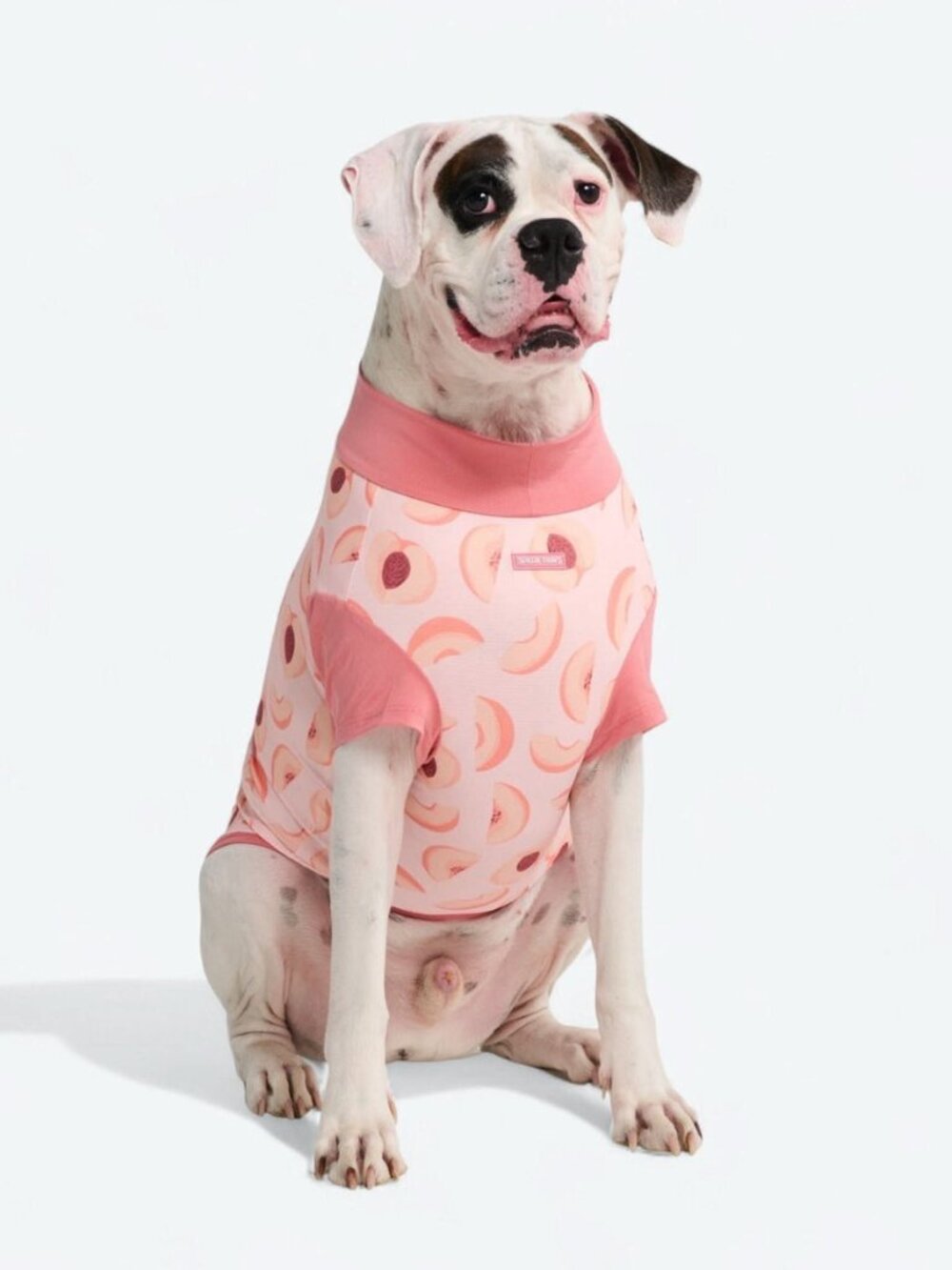 (NWT) Spark Paws - Sunblock Shirt - Peaches (Size 2XL) - Picture 2 of 6
